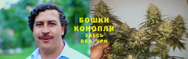 PSILOCYBIN Новодвинск