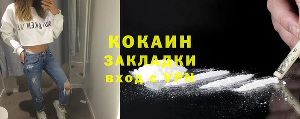 стаф Нея