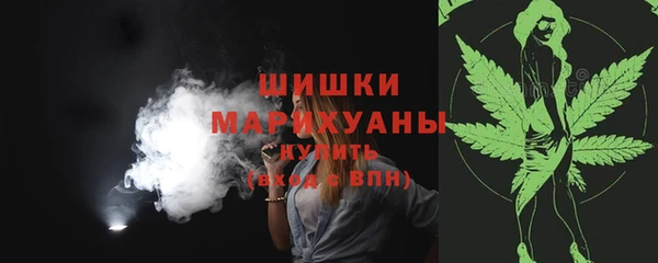 стаф Нея