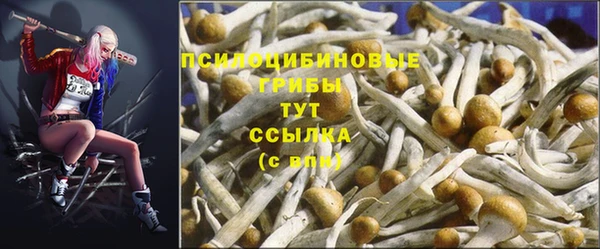 герыч Новокубанск