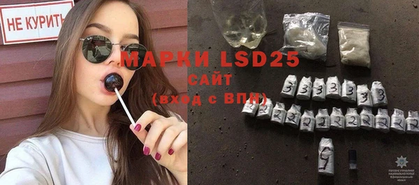 PSILOCYBIN Новодвинск