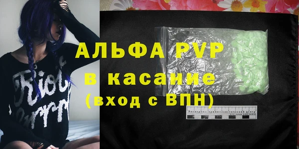 прущие грибы Валуйки