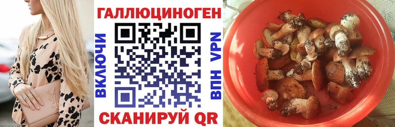 Галлюциногенные грибы прущие грибы  Петухово 