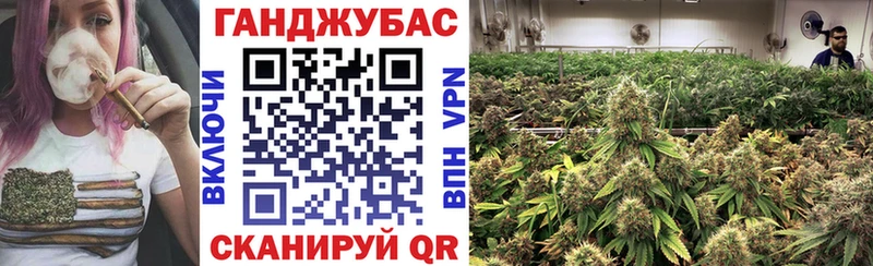 купить наркоту  Петухово  Шишки марихуана конопля 